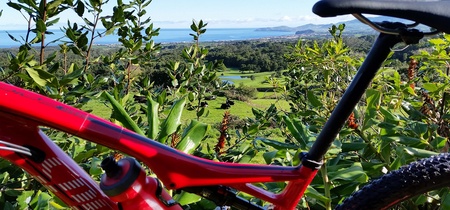 MTB Bike tour - Pinhal da Paz/Batalha