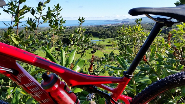 MTB Bike tour - Pinhal da Paz/Batalha
